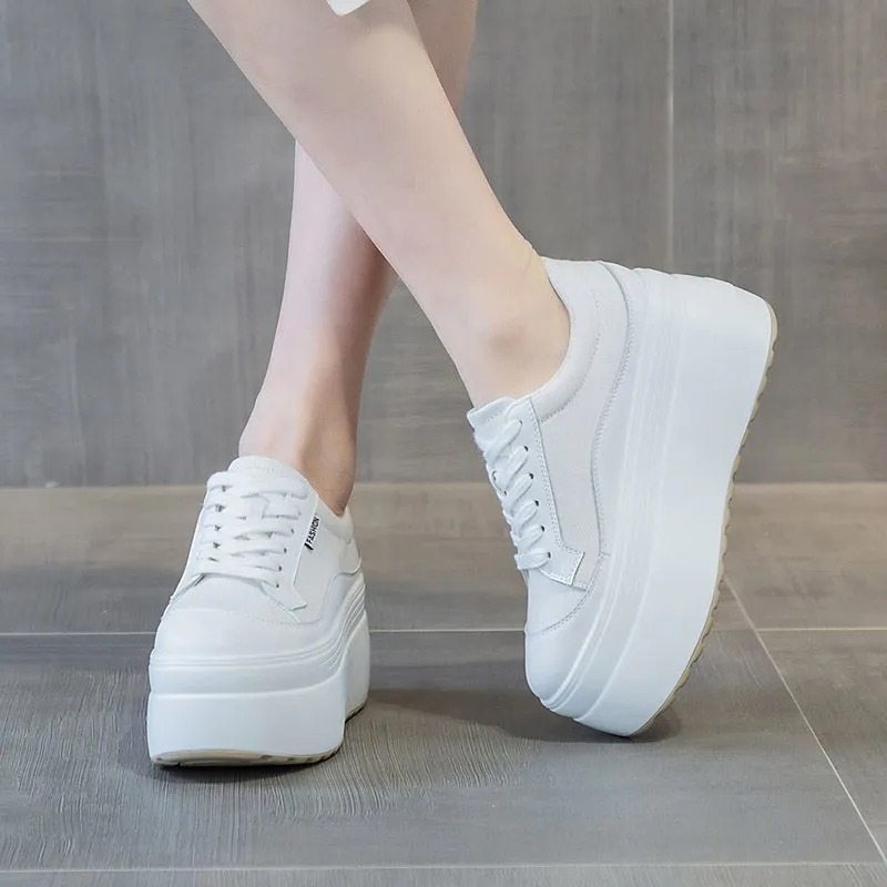 8cm New Canvas Genuine Leather - Guipure Lace Panel ulasan dan harga